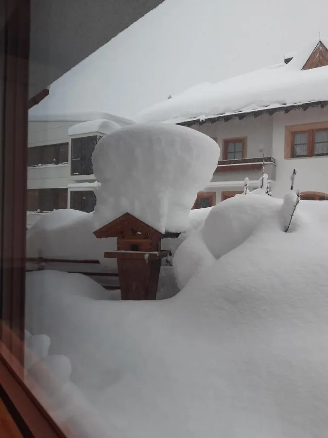 アパートホテル Appartement Chesa Monte イシュグル